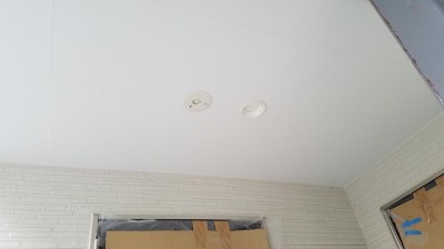 20190401_170212.jpg